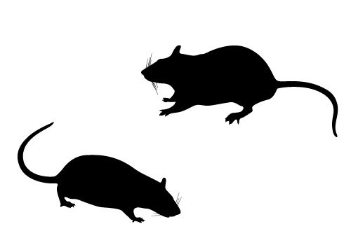 Rat Silhouette | Free Download Clip Art | Free Clip Art | on ...