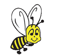 Bee Line Transportation Home Page