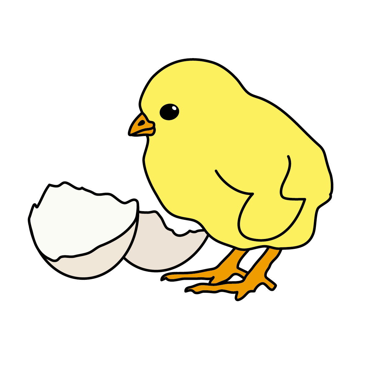Easter chick cartoon clipart - Clipartix