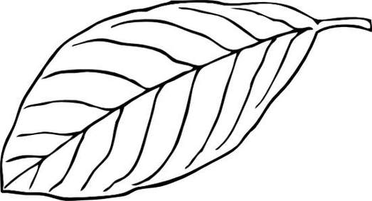 Black And White Leaves Free Clipart - Free to use Clip Art Resource