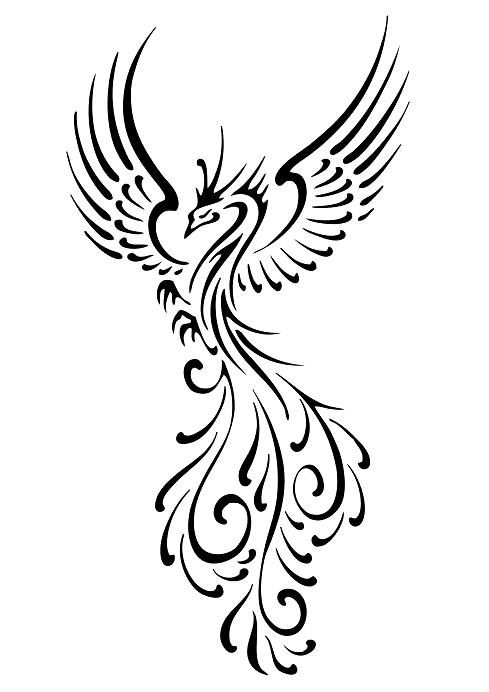 Phoenix Bird Tattoos | Phoenix ...