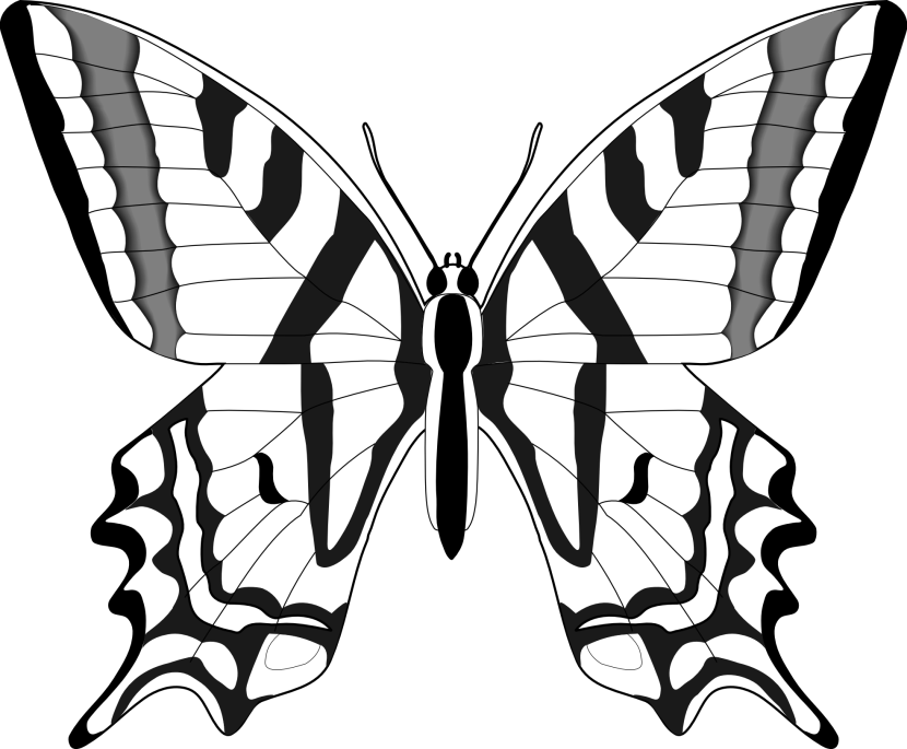 Butterfly clip art black and white