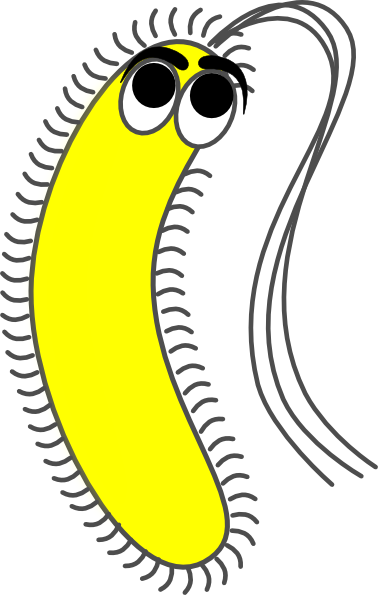 Bacteria Yellow Funny Clip Art - vector clip art ...