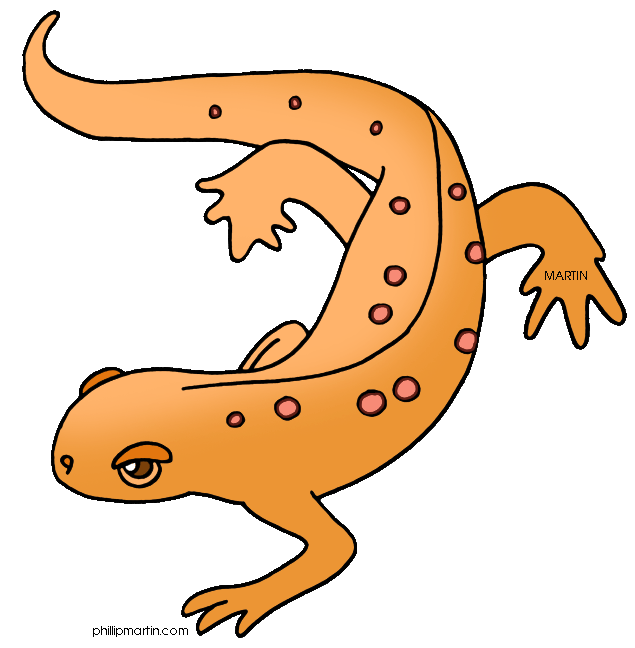 Newt clipart