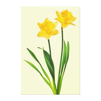 Yellow Daffodils Wrapped Canvas Prints | Zazzle