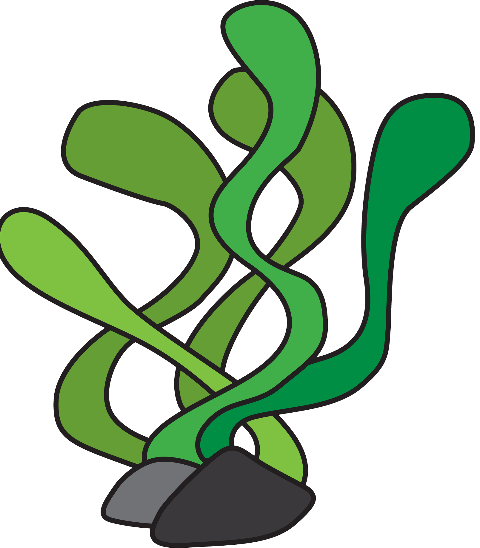 Aquatic plant clip art