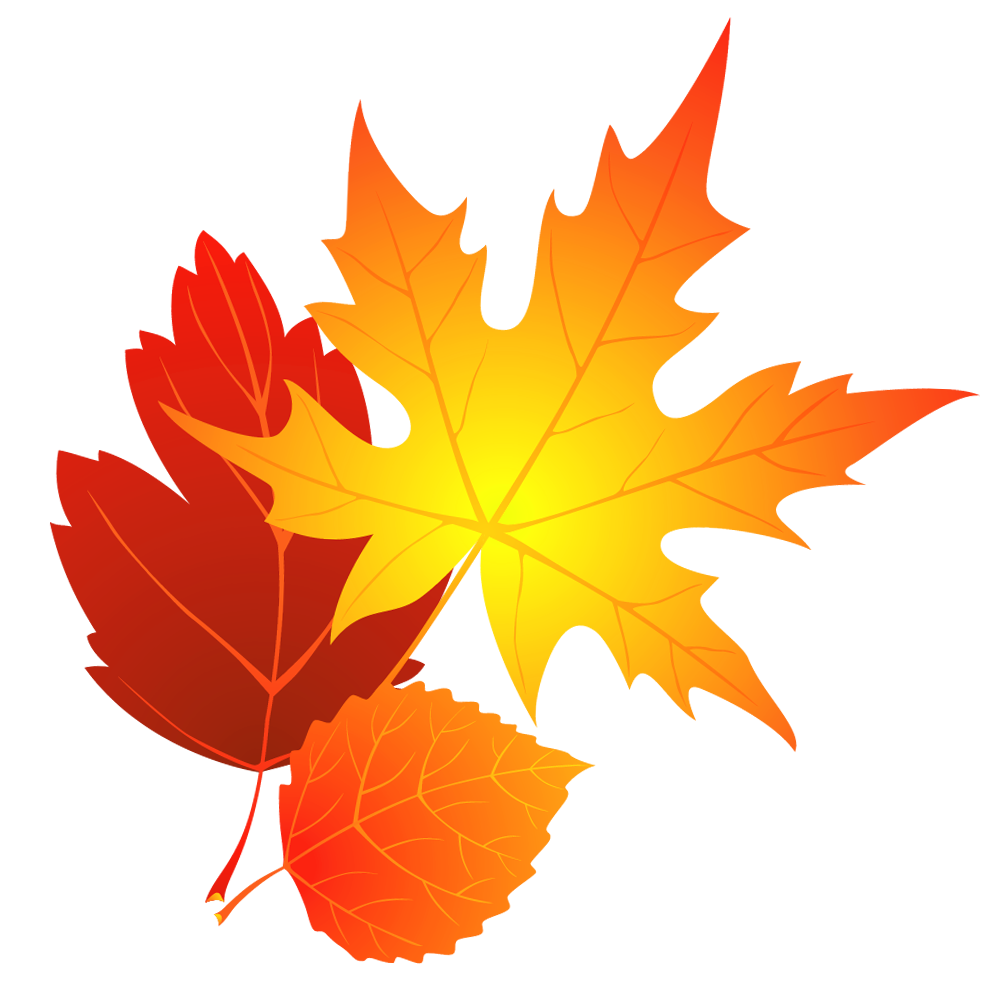 Clipart leaf blank background