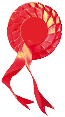 Red Rosettes | Labour: Campaign Shop