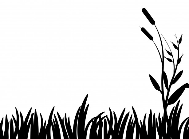 Grass clipart white and black
