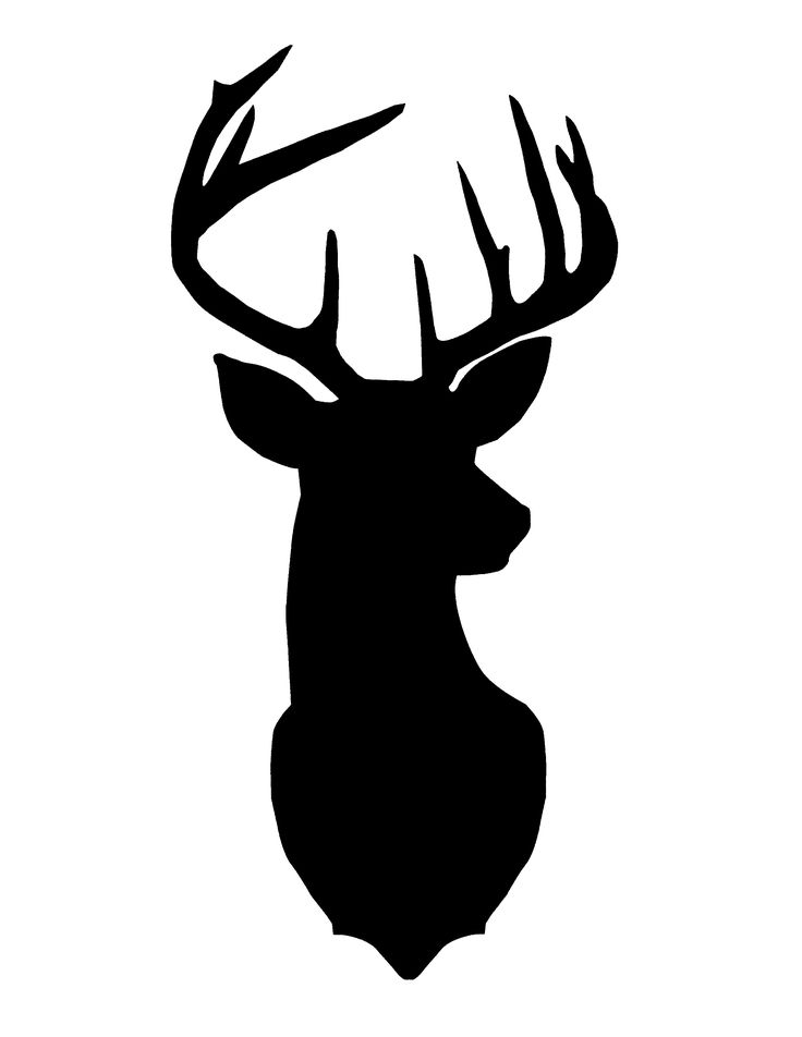 Buck head clipart