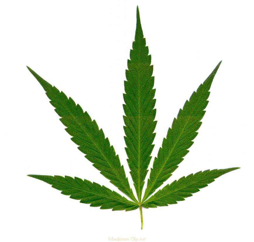 Cartoon Weed Plant - ClipArt Best