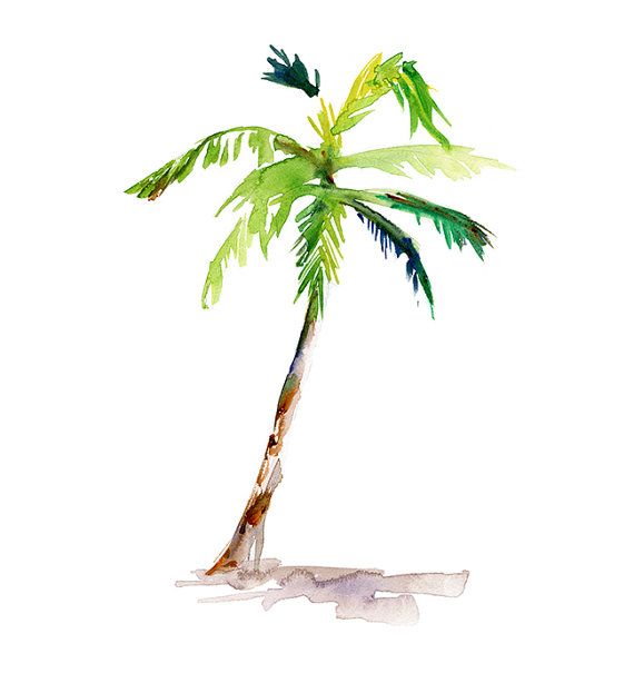 Palm Tree Drawing | Easy Drawing ...