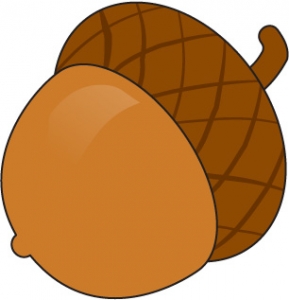 Acorns clipart