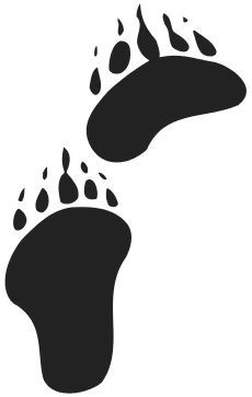 Bear Paw Design - ClipArt Best