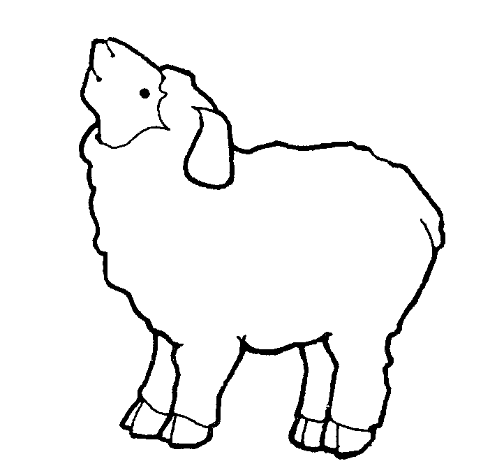 Sheep 2 | Mormon Share