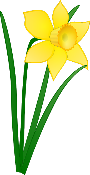 Free Daffodil Clip Art