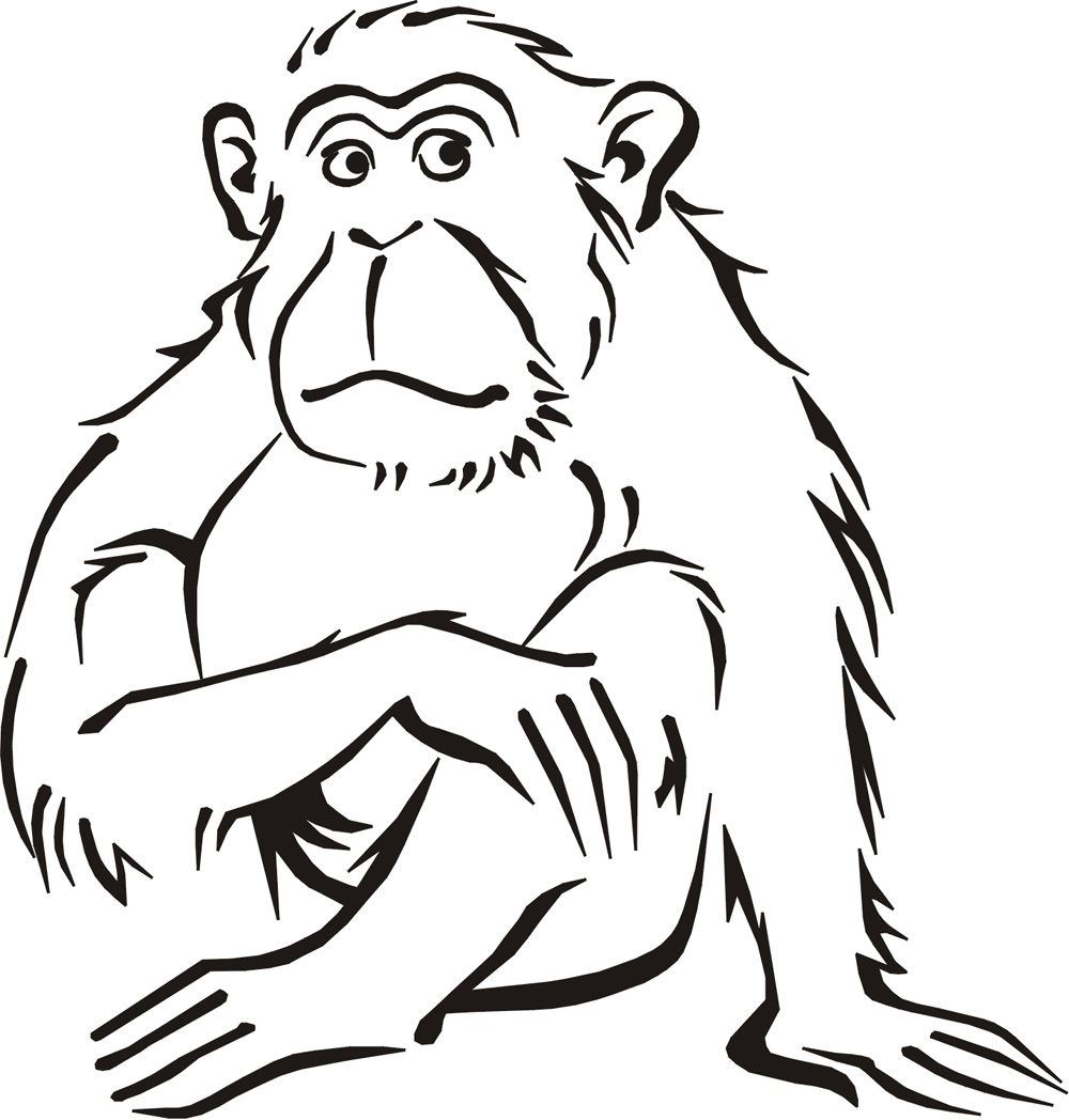 Monkey Line Art - ClipArt Best