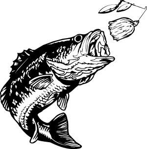 Bass Free Clipart