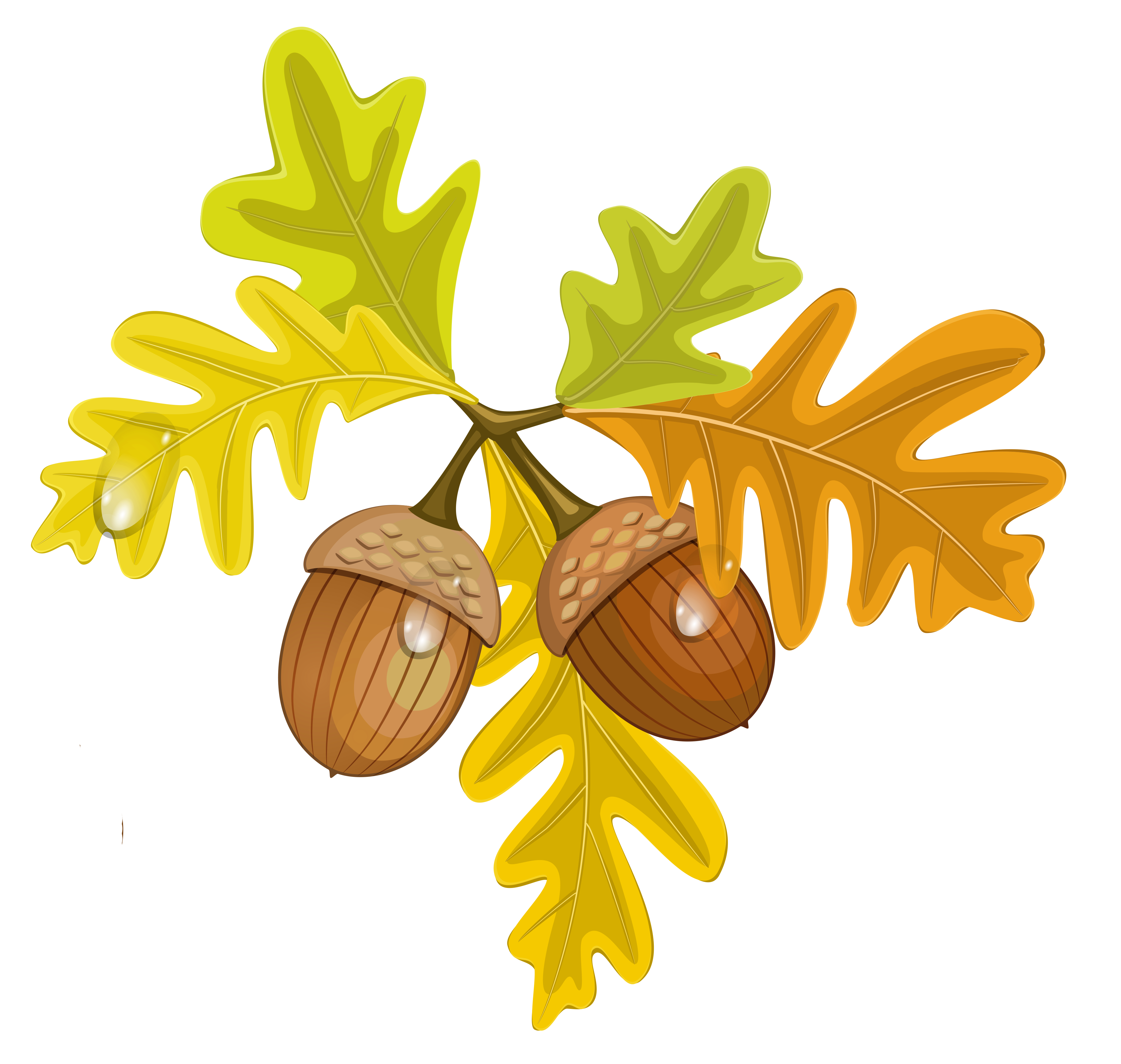 Leaves and Acorns Clip Art – Clipart Free Download