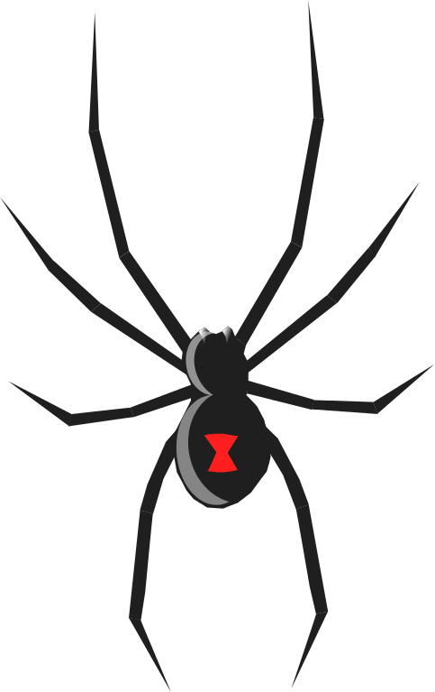 Spider black and white spider clip art catalog 2