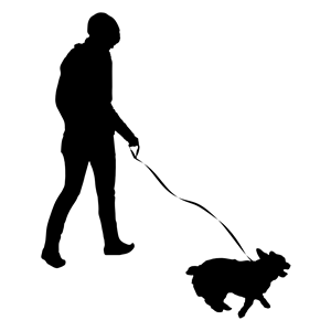 Woman Walking Dog Silhouette clipart, cliparts of Woman Walking ...