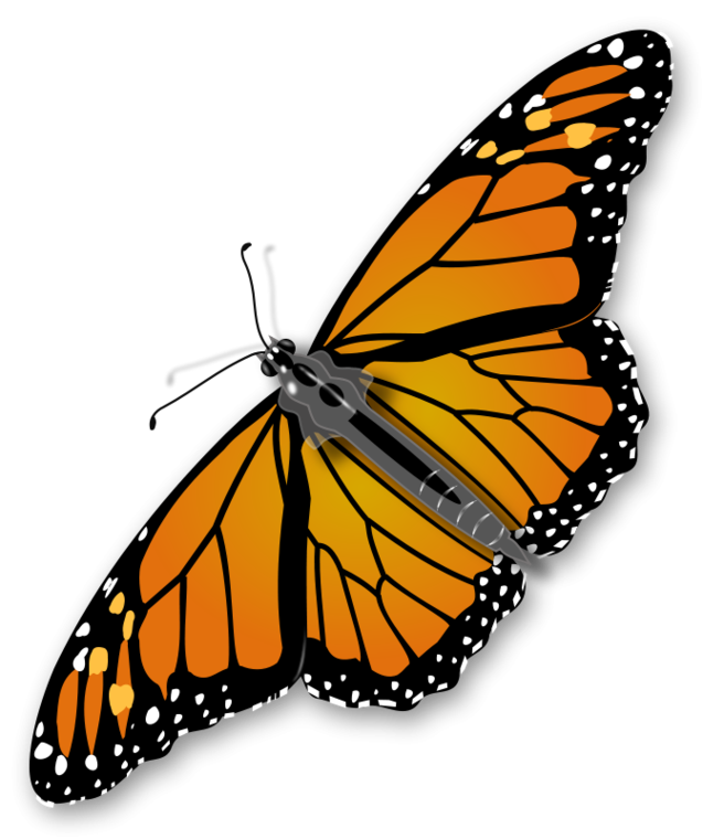 Insects Clip Art - Tumundografico