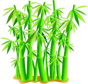 Bamboo images clip art