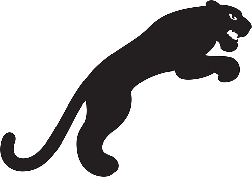 Black Leopard Clip Art, Vector Images & Illustrations