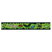 Rainforest Display Border - These straight-edged borders fit in ...