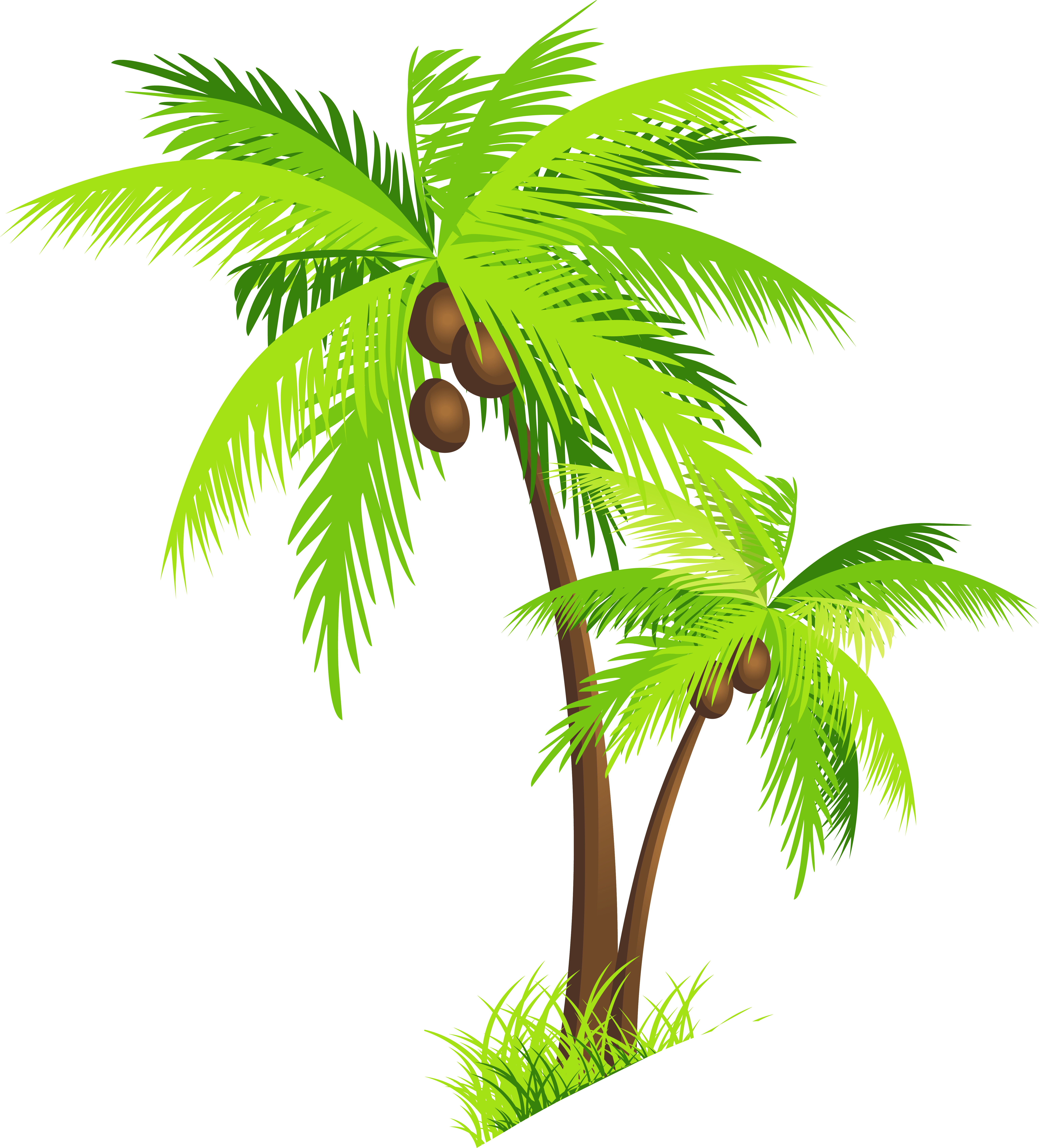 Vector Coconut Tree - ClipArt Best
