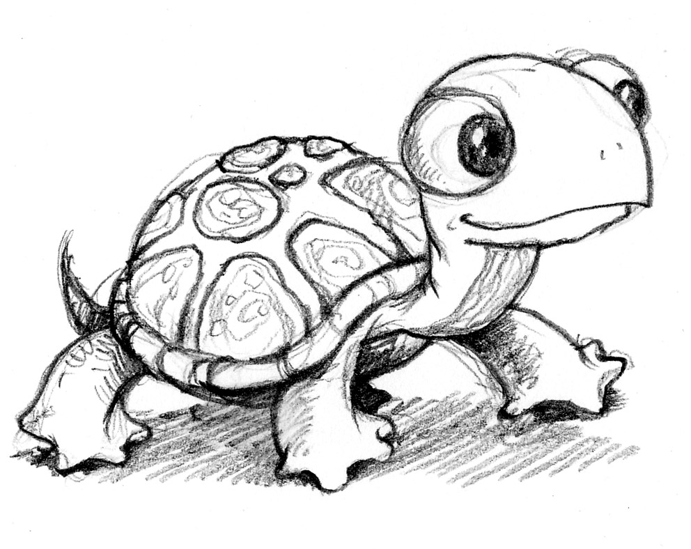 Turtle Artwork | Turtles, Sea Turtle Art and Coloring ...