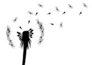 Vector Illustration Of Blowing Dandelion On A White Background ...