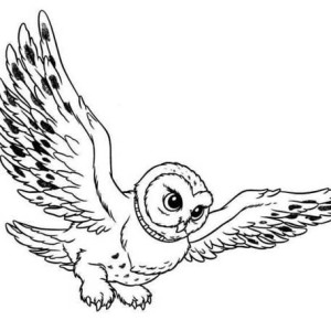 owl flying Colouring Pages