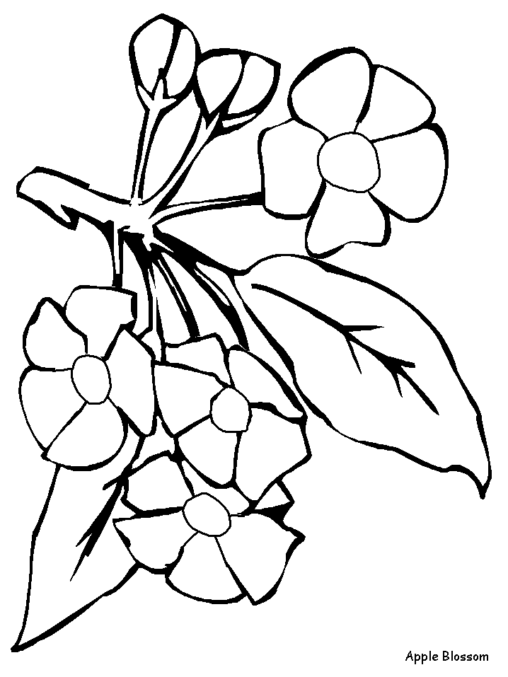 Bluebonnet Coloring Page - AZ Coloring Pages