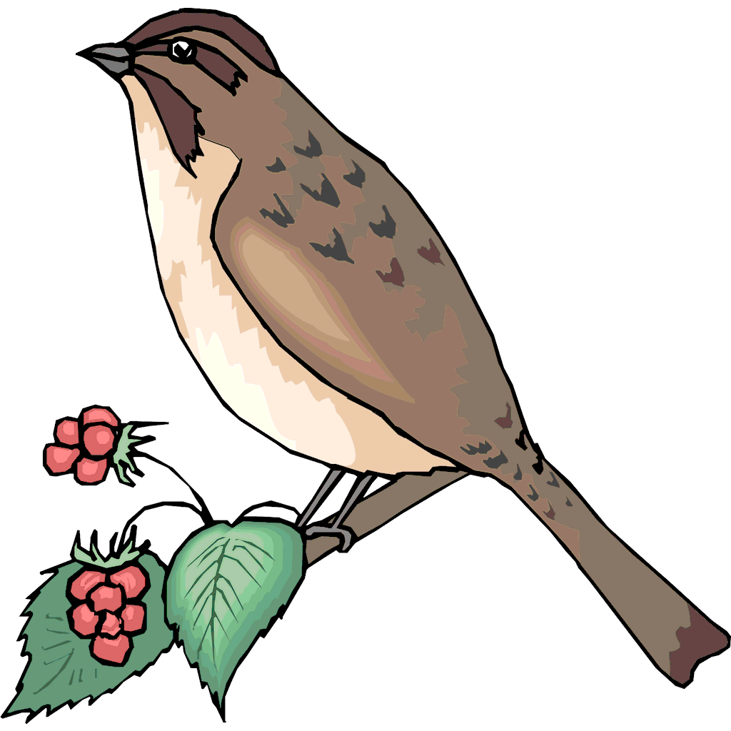 Sparrow 10 clipart, cliparts of Sparrow 10 free download (wmf, eps ...