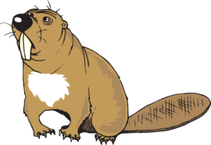 Confused Beaver Clip Art - vector clip art online ...