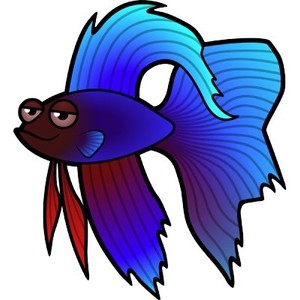 Betta fish clip art