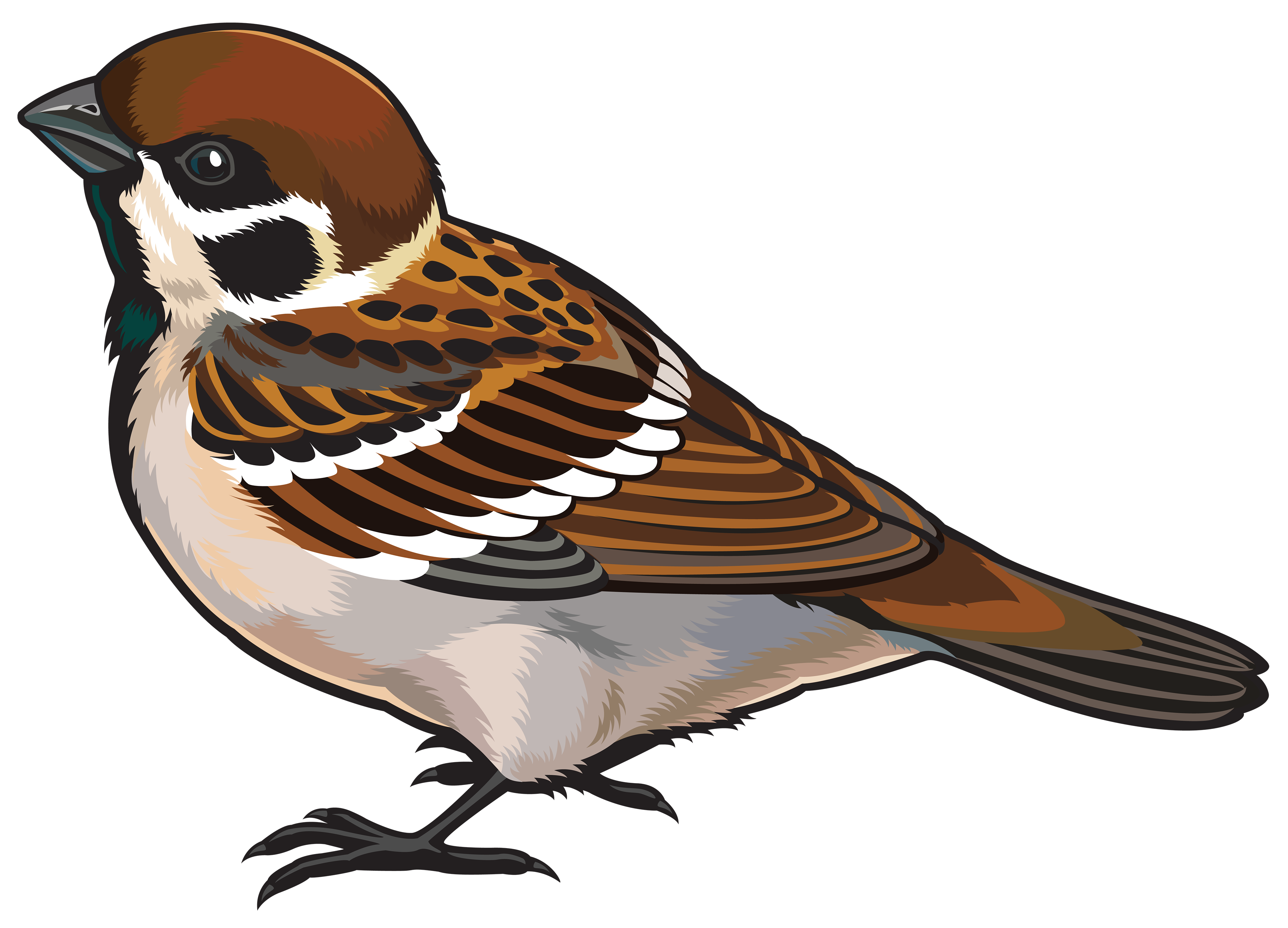 Sparrow Clipart - Tumundografico