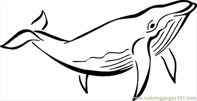 Level Humpback Whale Coloring Pages Eating Coloring Book ...