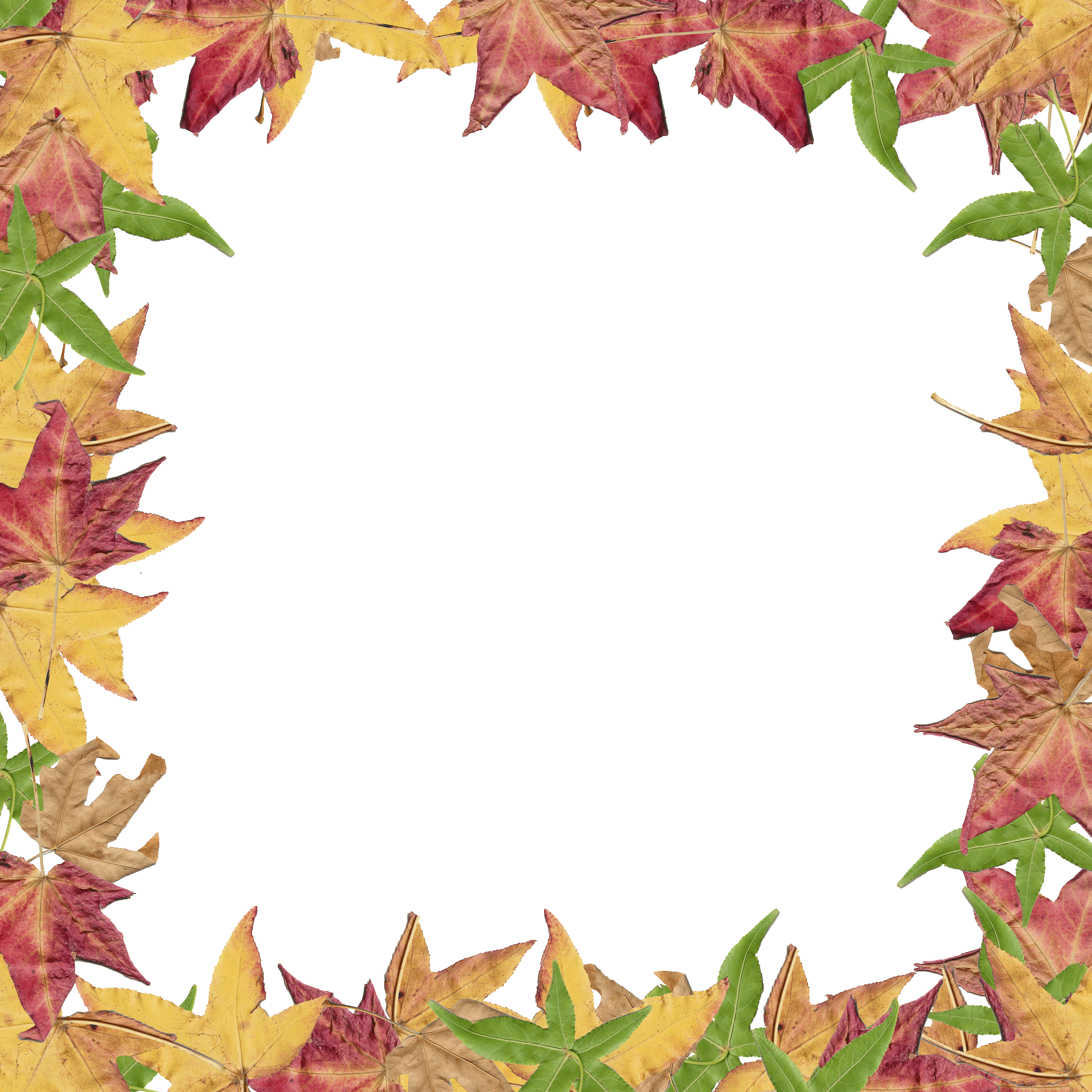 Fall border fall leaves border clipart free clipart images 5 image ...