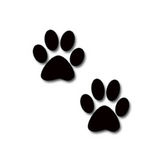 Pictures Of Dog Paw Prints - ClipArt Best