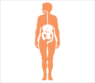Human body outline clipart free