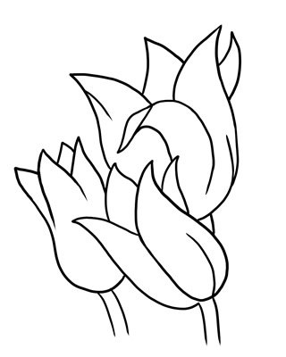 Outline of flowers pictures