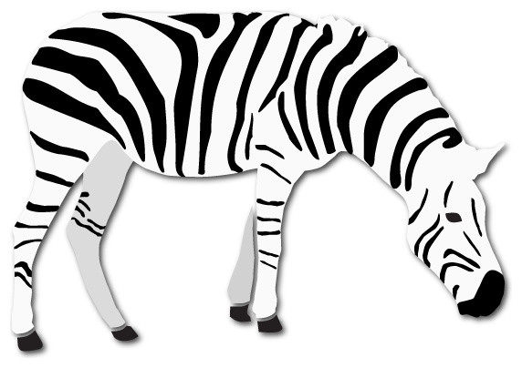 Zebra Stencil for Painting - Contemporary - Wall Stencils - by My ...