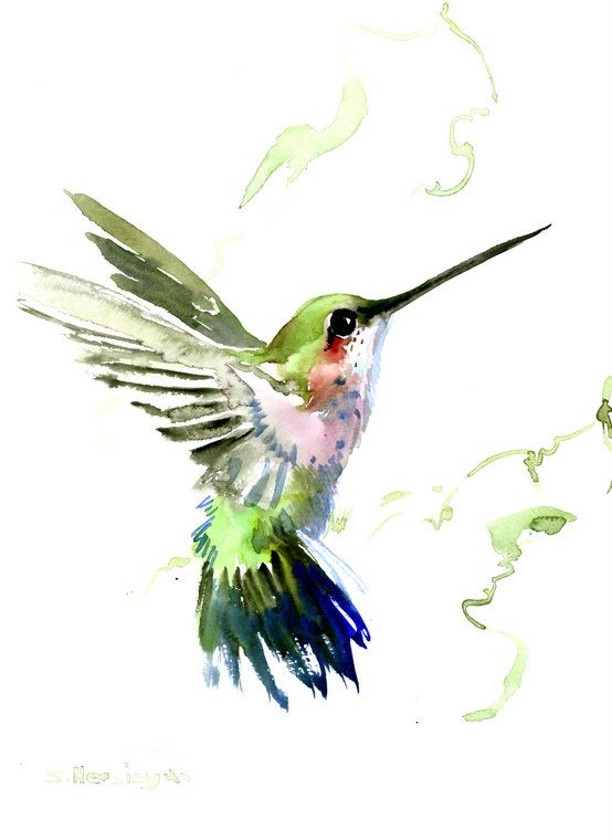 Hummingbird Painting | Paintings ...