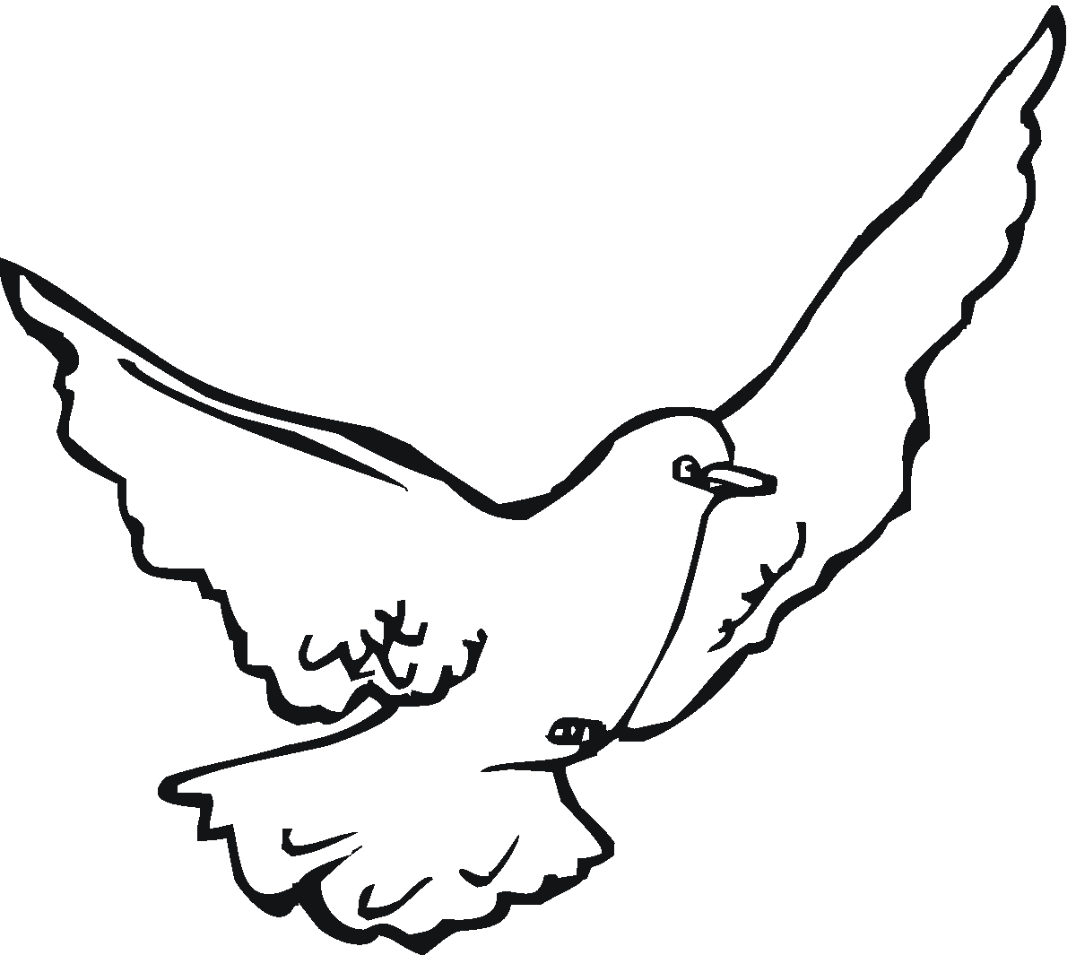 Dove Drawing Clipart