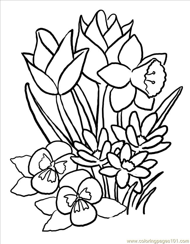 Coloring Pages For Spring Flowers Spring Flower Coloring Pages To ...