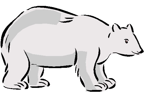 Polar Bear Face Clipart