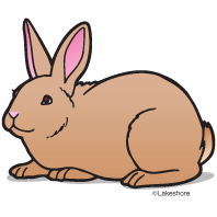 Clipart images of rabbit