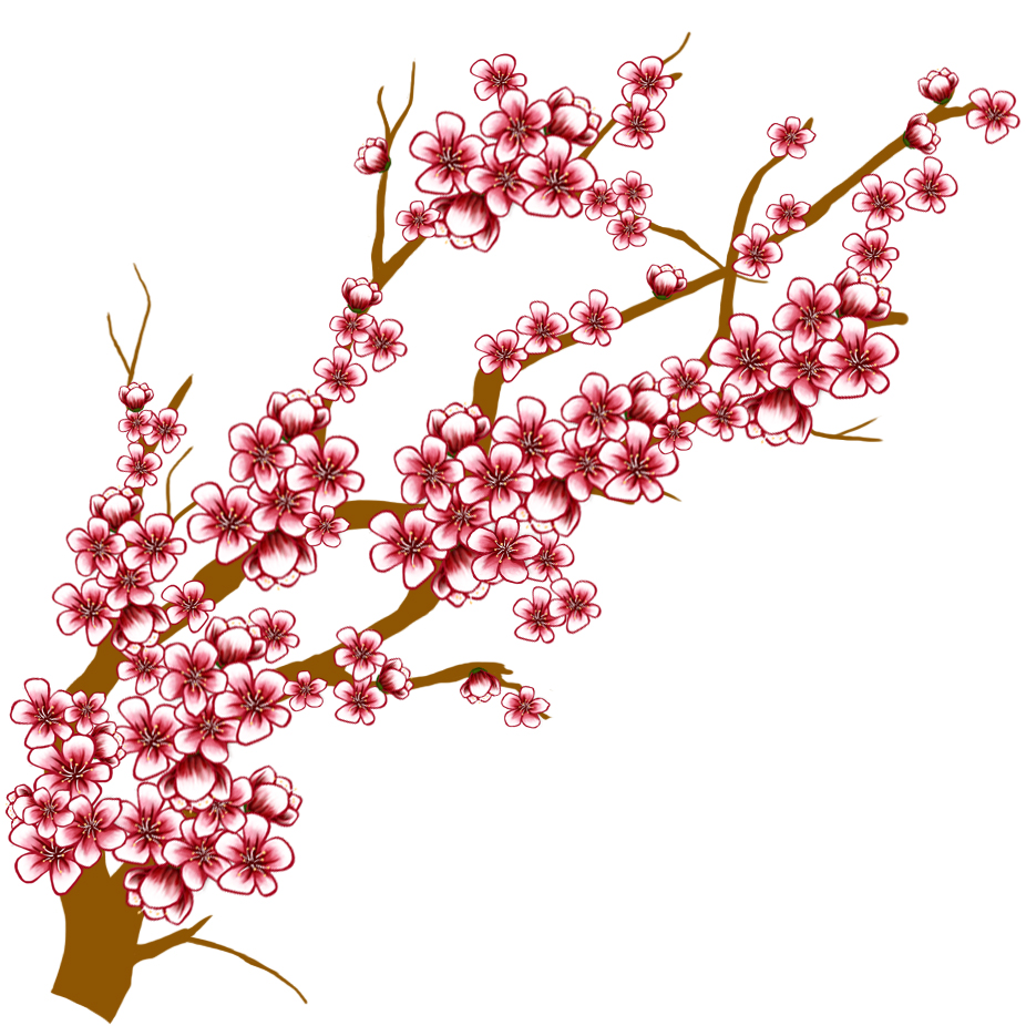 Cherry Blossom Branch Drawing - ClipArt Best